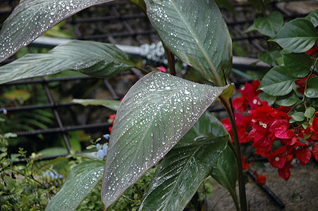 November 3, 2010 Chichen Itza 073.JPG